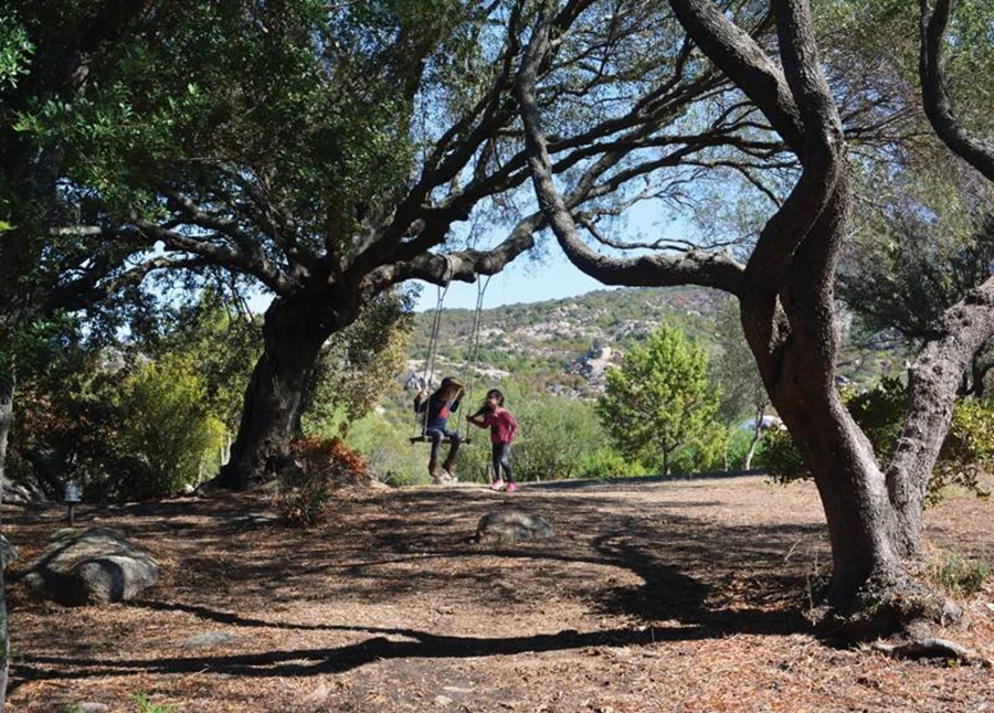 פינות עניין ברחבי הגן משתלבות בזרימה טבעית ללא מאמץ.