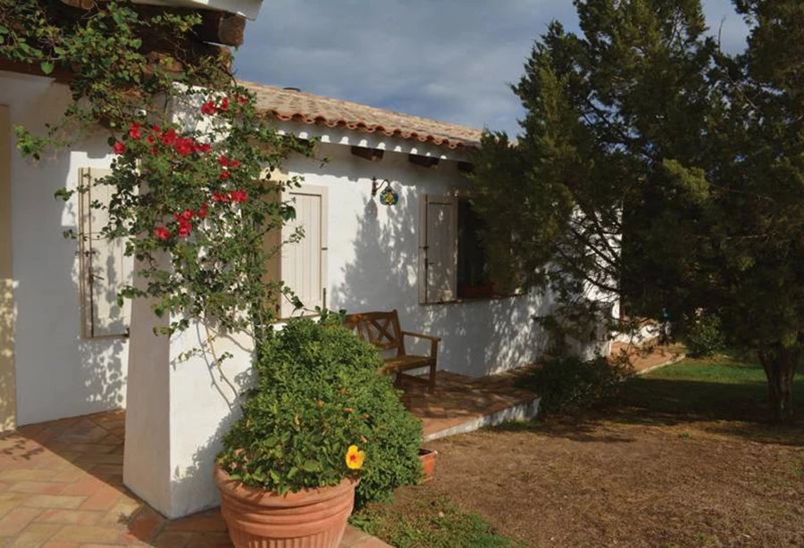 צמחייה ים תיכונית שולטת  בכל הגן, ברושים, בונגווילות והיבסקוסים.