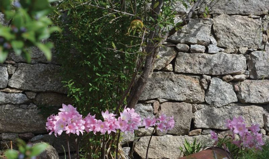 דוגמאות מבניית גנים מסורתיים ברחבי סרדניה.