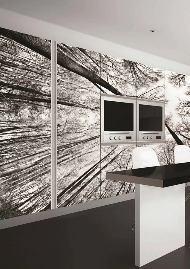 חיפוי זכוכית מודפס מקנה טאץ׳ מסוגנן ושונה לחלל המטבח | דומיסיל.