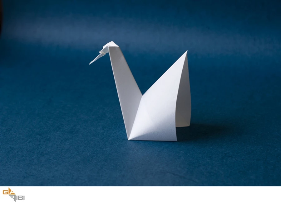 קפל לי כבשה (או משהו אחר...)