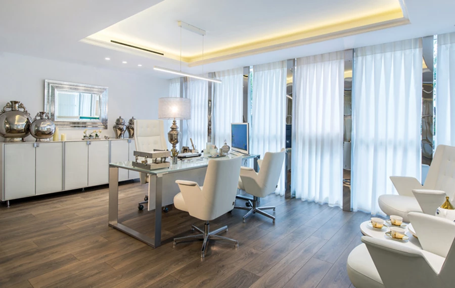 משרדה של בעלת החברה: חיפוי נירוסטה מבריקה לעמודי ברזל קונסטרוקטיביים, תאורה סמויה בתקרת גבס רבועה, פינת ישיבה אינטימית, עמדת עבודה נוחה ופריטי נוי כסופים המוסיפים גון אישי.  כסא מנהלים וכסאות אורחים: דגם Embrace של חברת ESTEL איטליה, בעיצובו של: Jorge Pensi, ייבוא: SPACE-IT.