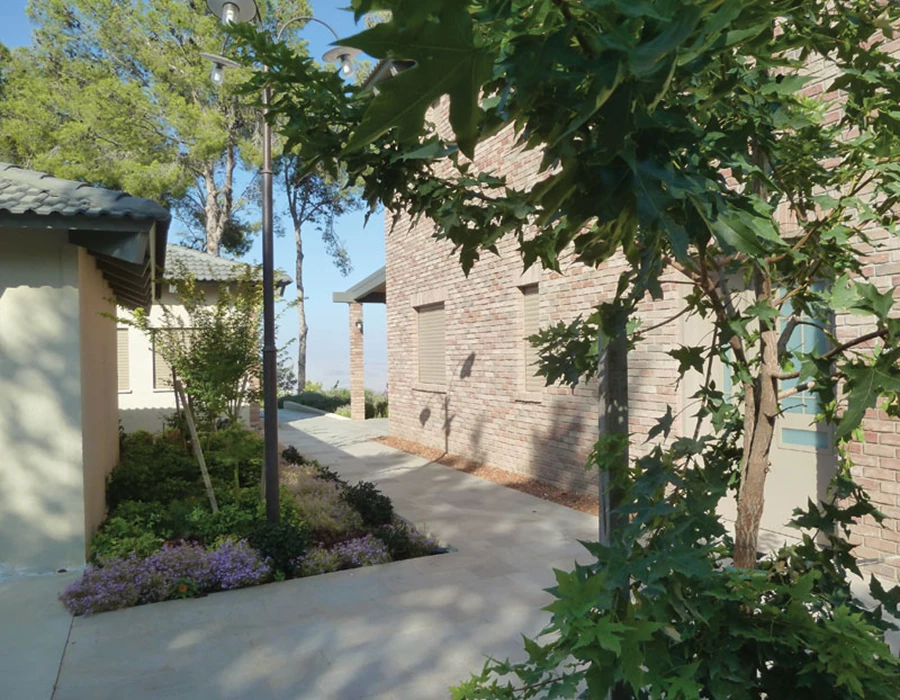 עצי אדר מלווים את שביל הכניסה.