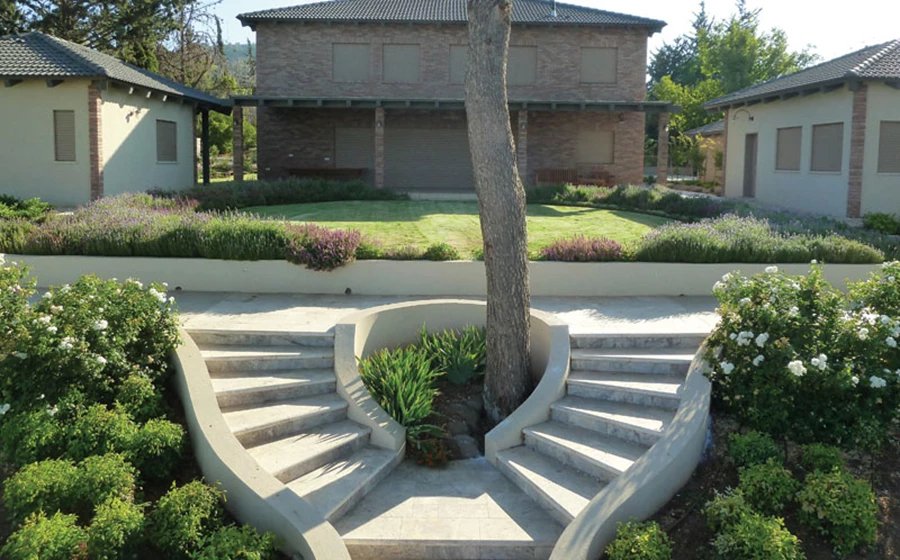 מדרגות עוטפות את עץ האורן ומובילות אל הגן התחתון      וחורשת היער