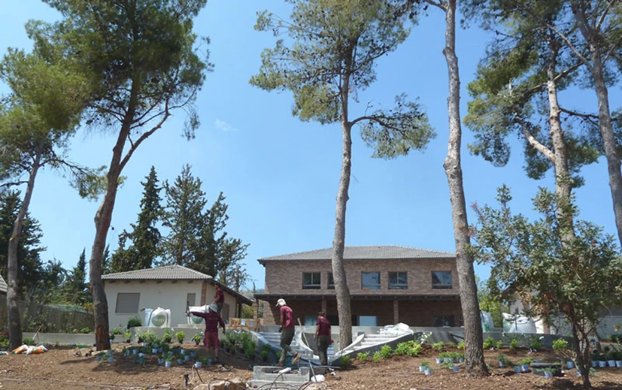 תהליך שתילת צמחייה בגן החדש