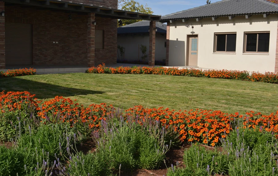 מדשאה עגולה מקבלת בכל עונה מסגרת צבעונית חדשה.