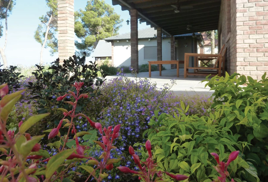 פינת ישיבה מול נוף העמק מלווה בפוקסיות, קמליות, לובליות, ננדינות.