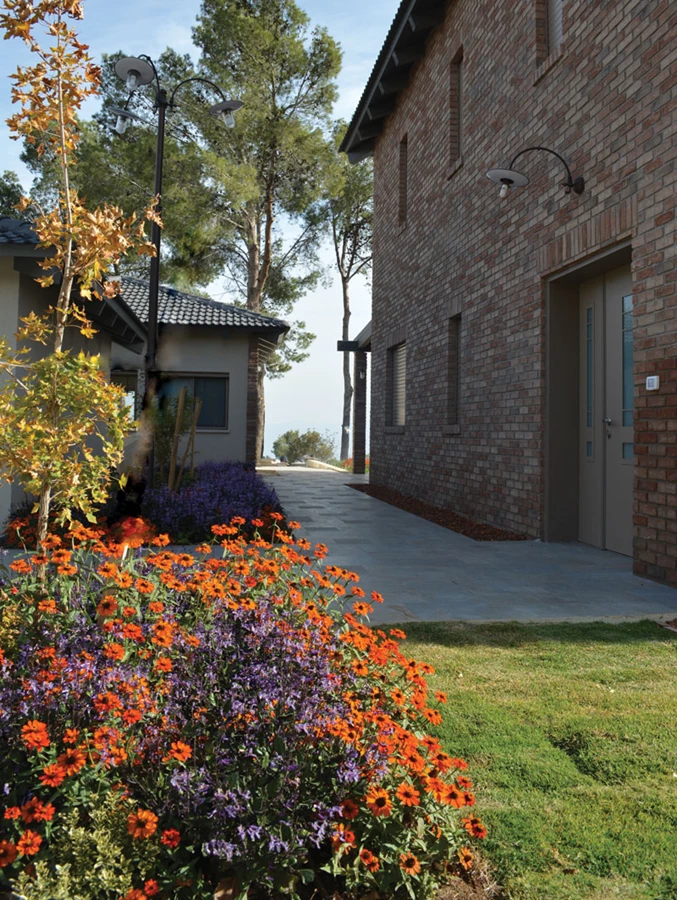 תחילת עונת הסתיו- עצי האדר הצעירים מחליפים את צבעם.