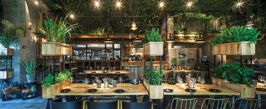 מבט אל עבר המטבח ומטבח הקינוחים שלצדו, החשופים לעין הסועדים. האדניות התוחמות בין החממות ובין השולחנות בוצעו ייעודית מעץ מיושן כשבתוכן משתלבת מערכת השקיה, והתאורה משלבת מעין גרלנדות עם עששיות וגופים בעיצוב טבעי א-פורמאלי. בשעות הלילה כשהמסעדה סגורה מאירים את החלל גופי תאורה ייעודיים לחממות המפיצים אור חזק שמדמה אור שמש.  מטבחים: ג