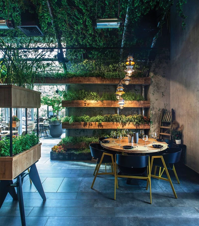 קירות שאינם מחופים בירק מחופים בשכבות בטון שנועדו להעניק להם מראה אופייני של טחב וירוקת.