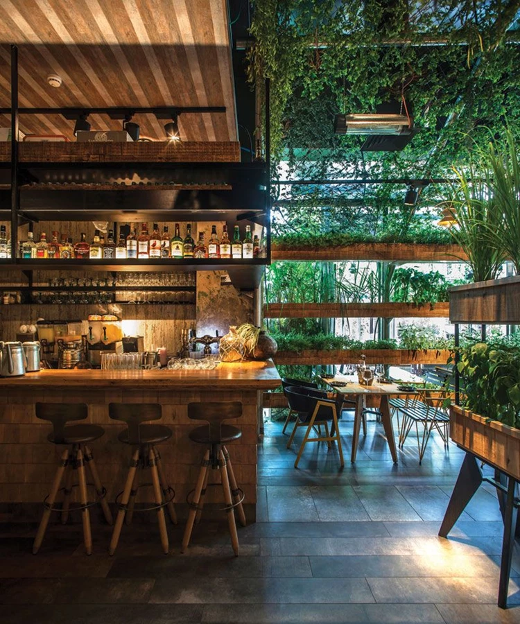 אזור הבר: עץ ופריטים מעולם הגינון.