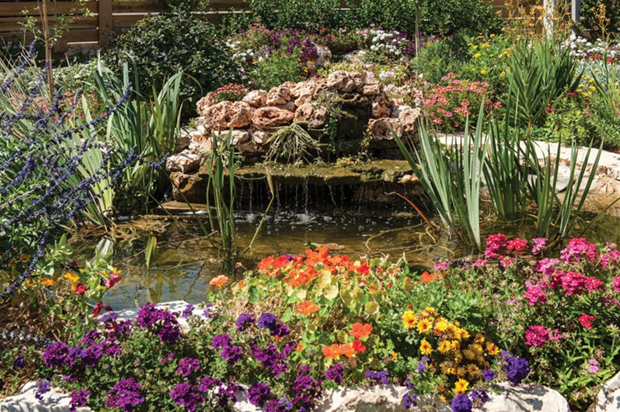 הגינה: שטח רחב ידיים בו משתלבים בהרמוניה צמחייה טבעית, חלקת דשא, ובריכת דגים החוסה בצלו של עץ זית עתיק. ביצוע גינה: גן העדן הקסום.