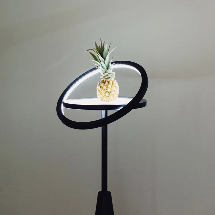 צילום: מיכאל פיש