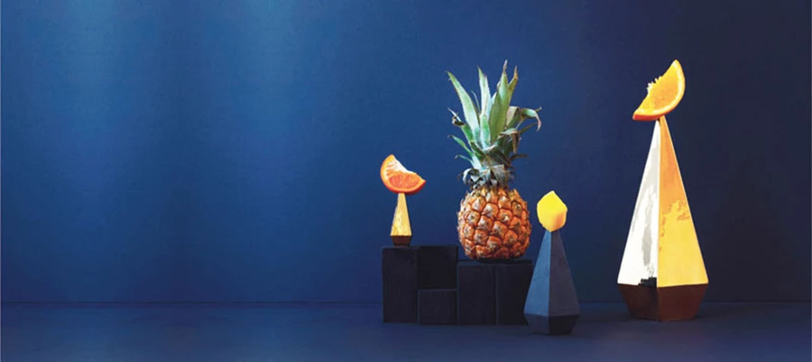 בשיתוף עם: Studio Erwin Zwiers