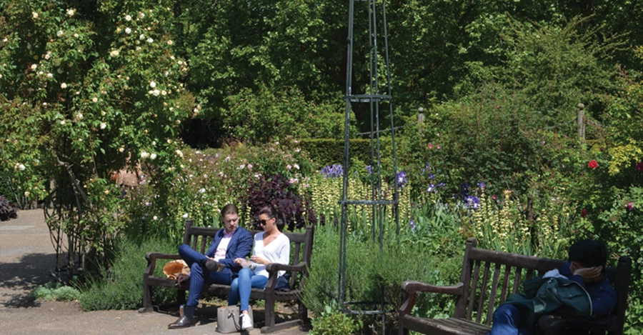 הפסקת צהריים בסביבת טבע ירוקה ופורחת.