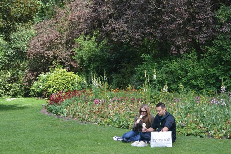 הפסקת צהריים בסביבת טבע ירוקה ופורחת.