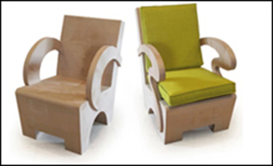 ביקורת גבולות