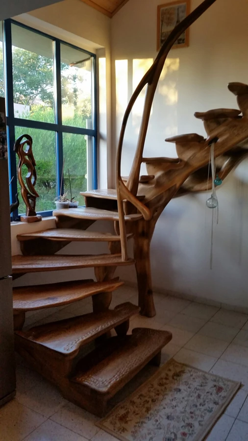 מצד אחד נשמר המראה האתנטי של העץ ומצד שני נבדקים בכל מדרגה ומדרגה הגבולות  | נועם זמיר – אתגרים בעץ