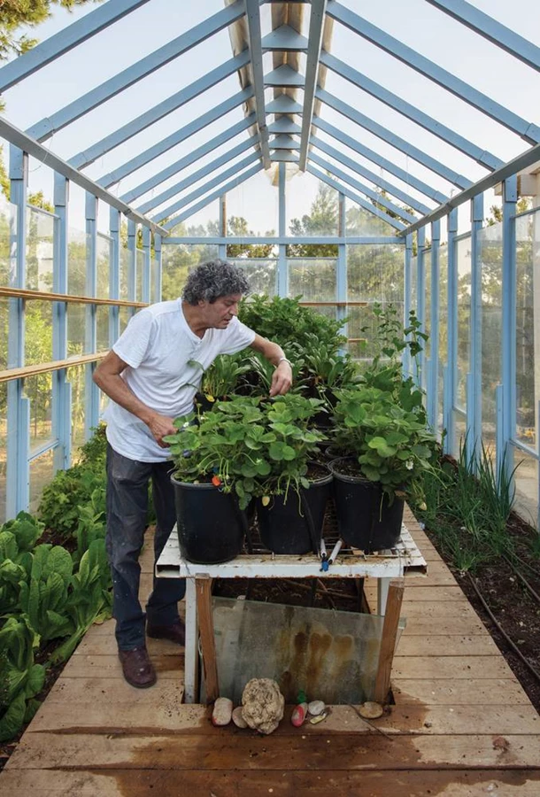 החממה שבנייתה משלבת בסיס אבן