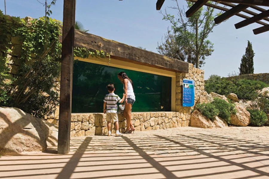 בתי קפה בלב הפארק, רקמה מעוצבת של חי טבע ודגים לצד צרכי מבקר