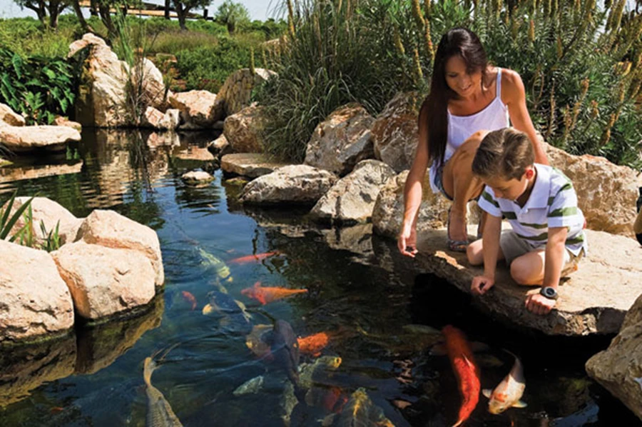 חווית  משחק וטבע לממבקר, עולם של בעלי חיים ימיים.