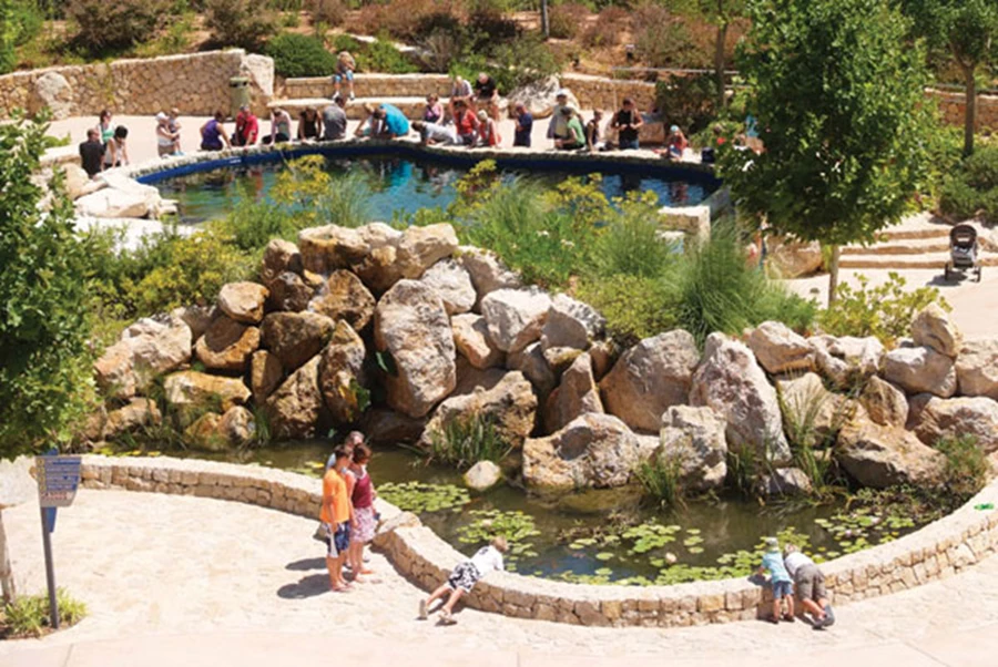 המבקר חווה את עולם המים והחי הימי במעבר בין הבריכות המיוחדות השזורות בפארק.