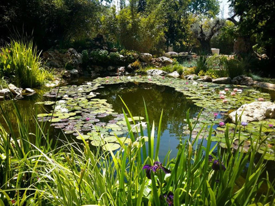 מים שקטים חודרים עמוק