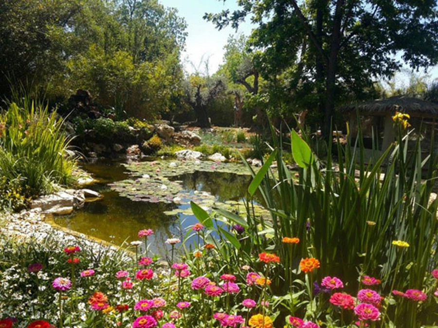 בריכה אקולוגית, בסמוך לגינת פרחים ססגונית | מים שקטים