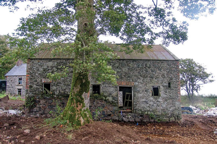 מלאו אסמינו... עיצוב חדש