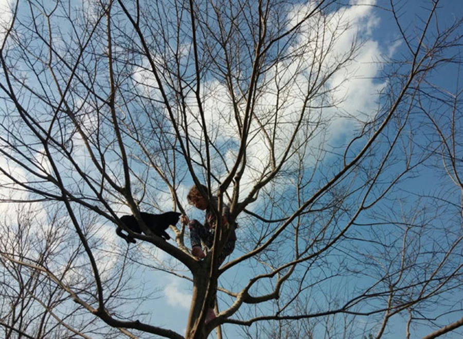 לא צריך גן שעשועים כאשר יש עצים לטפס עליהם
