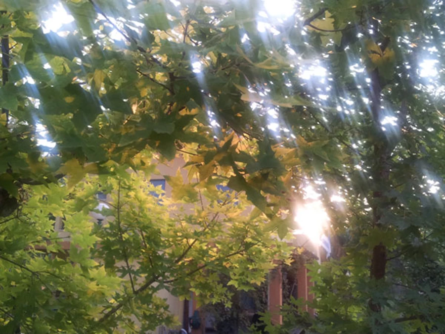 רגשות עמוקים מתעוררים בנו בעת השלכת.