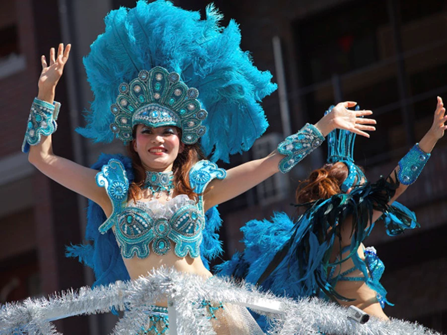 הקרבנל בברזיל פסגת הצבע צילום Getty Images