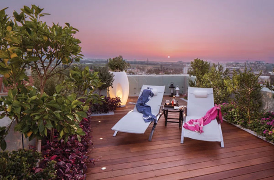 כורסאות מזמינות באזור השיזוף, מתאימות גם להתרווחות נינוחה בשעות בין הערביים. צמחייה מגוונת מקיפה-תוחמת את כלל המרחב המפנק.