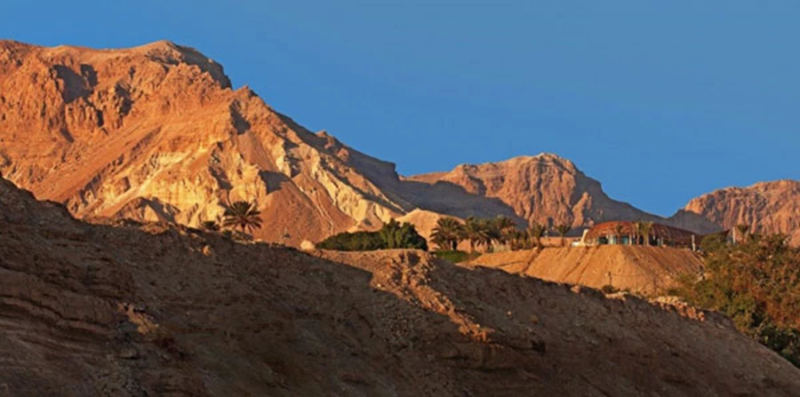 ספא סינרגיה עין גדי- מתחם הספא מוסווה בהרמוניה בין ההרים ומהווה חלק אינטגרלי מהנוף