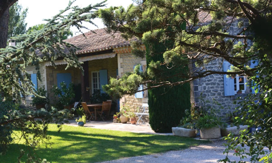 בתים טובלים בירוק.