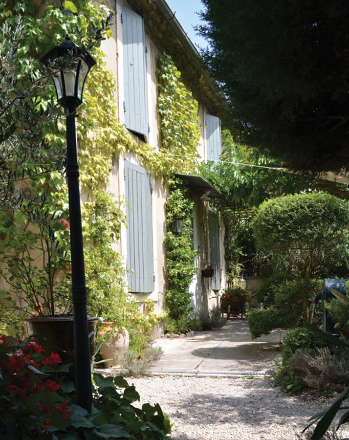 כמעט לא ניתן להבדיל בין ירוק על קירות הבית לבין ירוק של הגן.