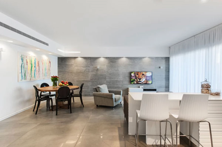 ריצוף: אריחים גדולים בגון אפור המהדהד אספלט - נגב