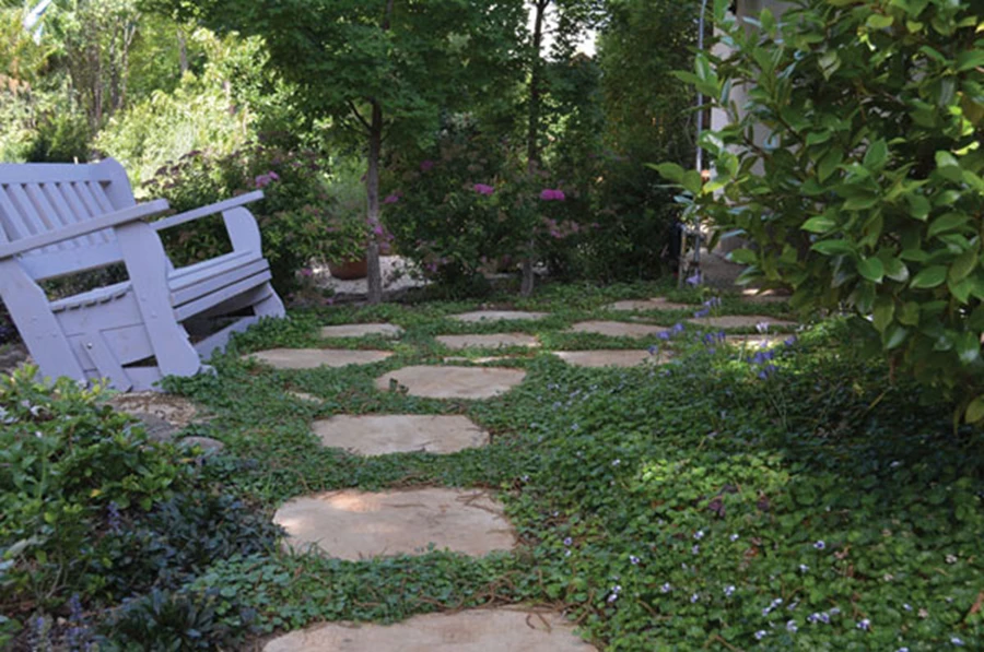 גינה לי (אמנם קטנה, אבל) חביבה