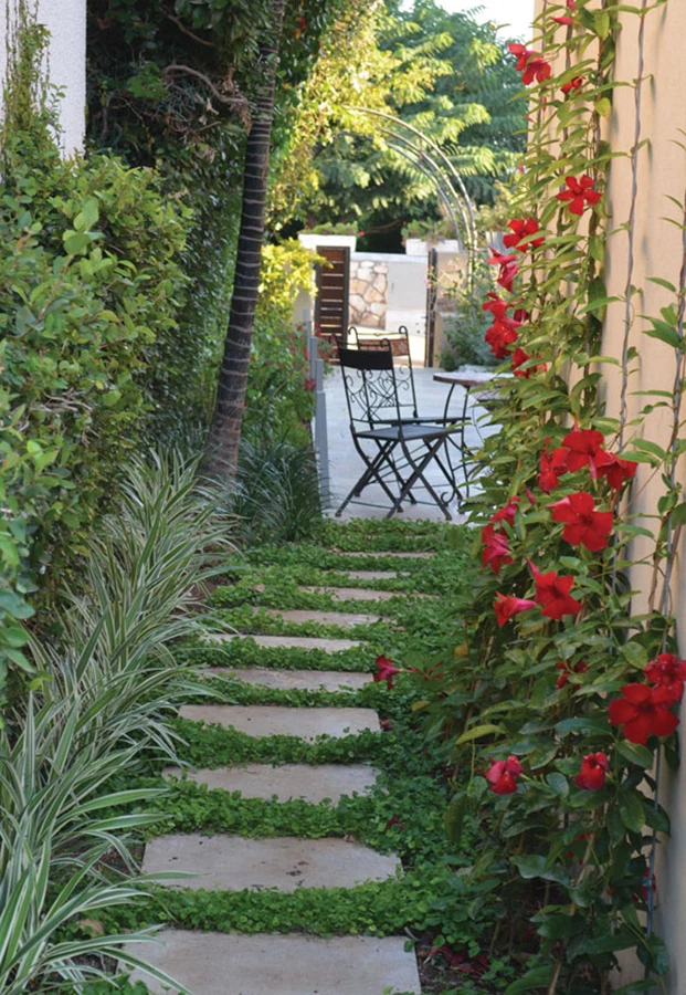 מעבר צר בין שני קירות מעותר בצמחייה פורחת,  יוצרת תחושה של רוך ונועם.