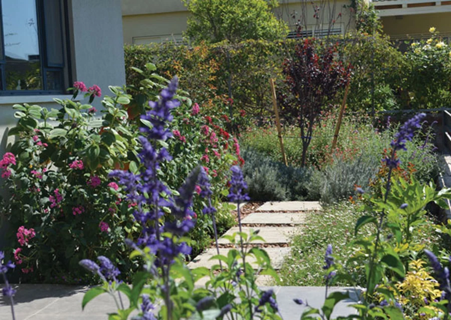 כניסה לבית מלאה בפריחה, ללא ספק קבלת פנים נעימה ביותר.