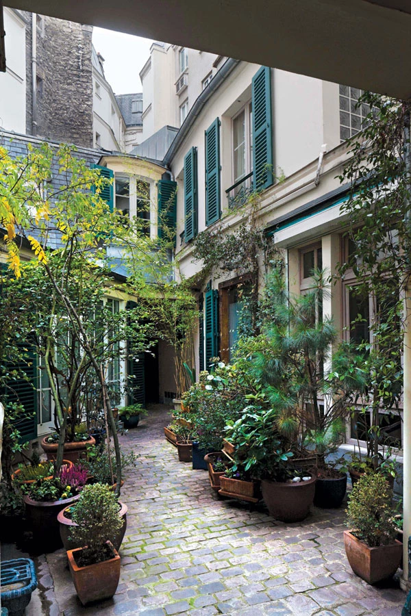 מטפסת לגובה בפריז