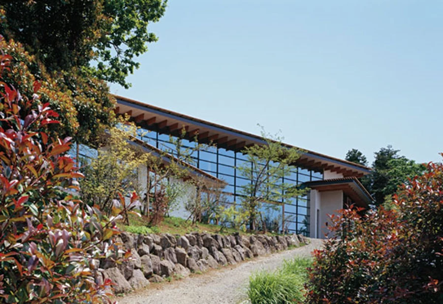 השביל המוליך אל הבית המשתלב באורח הרמוני בתוך הטבע העשיר ונהנה מנופו.