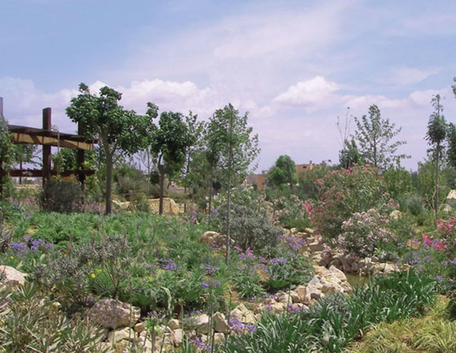 הגן כחוויית צבע