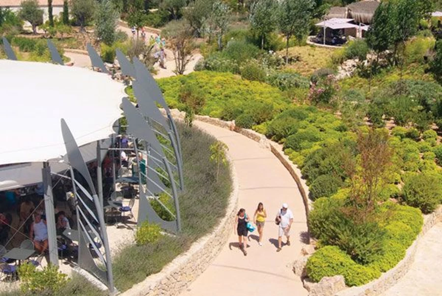 עלוה צהובה או אפורה כקונטרסט לגווני הירוק.