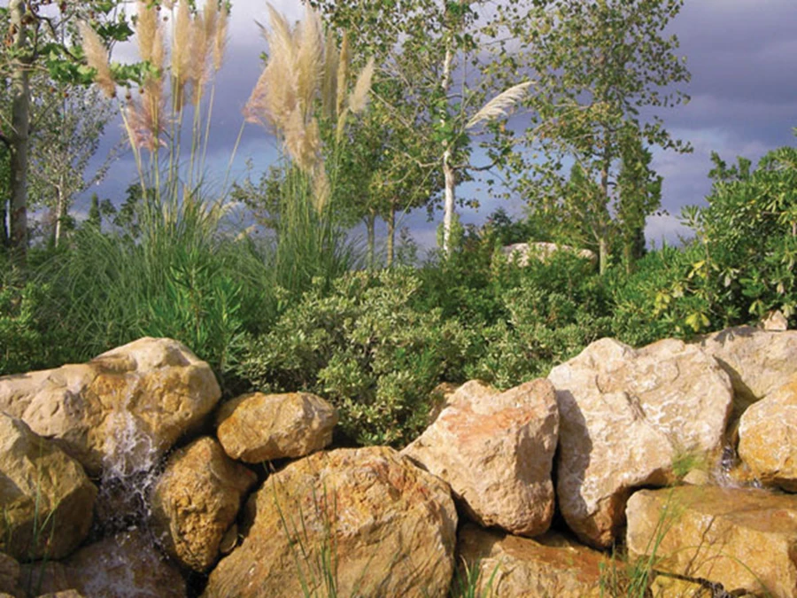 מקבץ סלעים כרקע לצמחייה ירוקה.