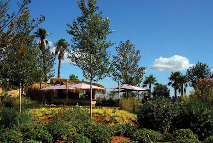 אפשרויות שילוב מעניינות בין גוונים ירוקים, מצהוב ועד ירוק כהה-שחור.