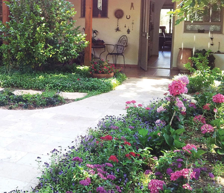 איש תחת גפנו ותחת תאנתו