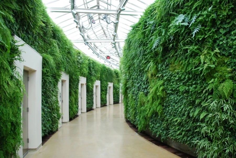 על תחרות תאי השירותים המעוצבים כבר שמעתם?