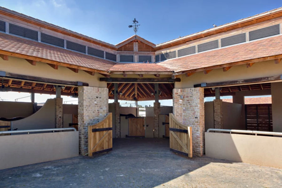 עם סוסים שמדברים אדריכלית