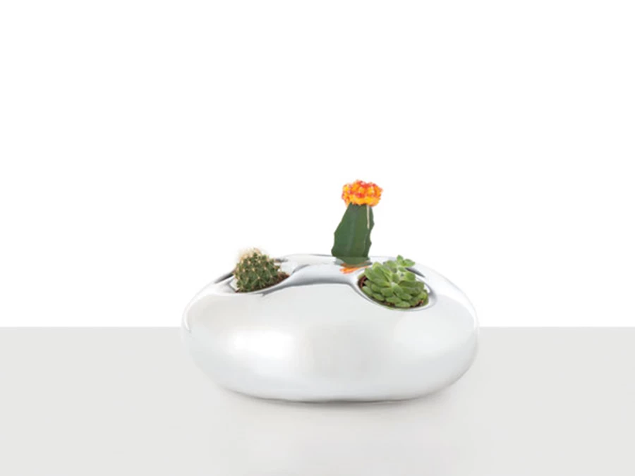 אריק לוי, Vegetal Drops 2012 | צילום: Kristina Hrabetova